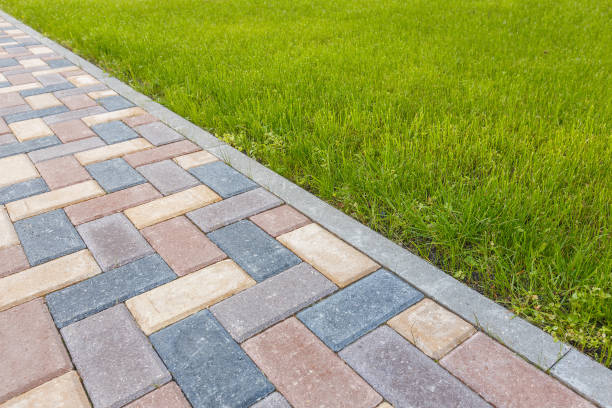 Best Cobblestone Driveway Pavers  in Mount Dora, FL